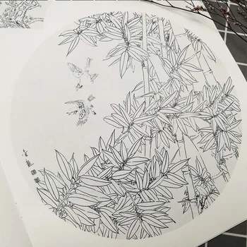  Bine Brushwork Flori Și Păsări Linie De Desen De Selecție De Pictura Chineza De Gongbi Meticulos Desenul De Linie Tehnica De Copiere Cărți