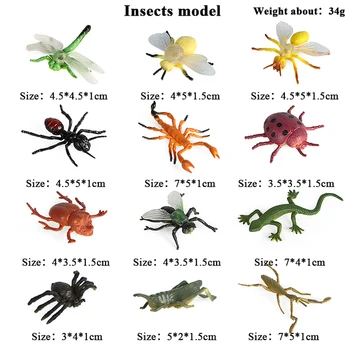  Copii de Simulare Pasăre Broasca de Pește Tropical Șopârlă Insecte Broasca Mini Toy Modelul Stabilit PVC Animal Cifrele de Acțiune Cunoaștere Cadouri