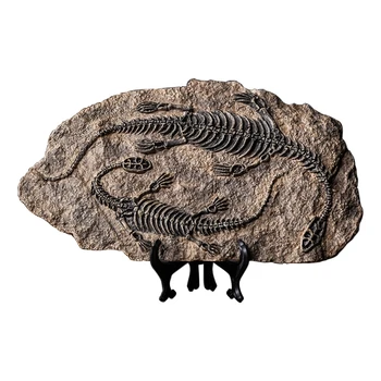 Retro Animal Statuie În Miniatură Interior Rășină Fosilă De Dinozaur Figurine De Viață